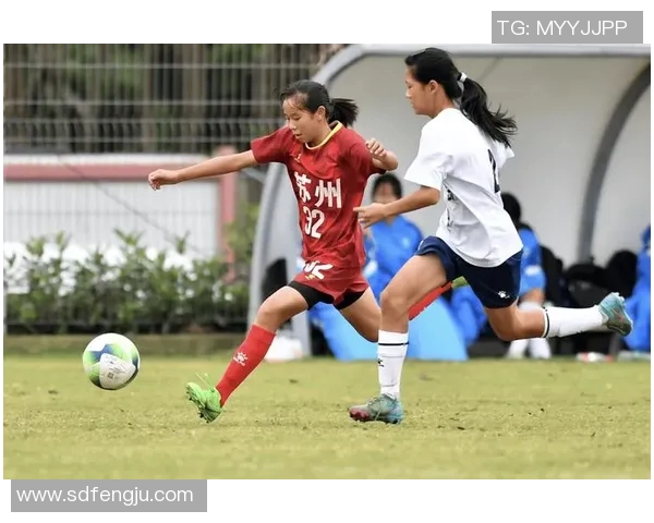 广西足球协会推动地方足球发展助力青少年成长与竞技水平提升